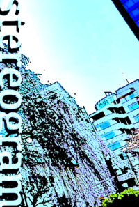 stereogram