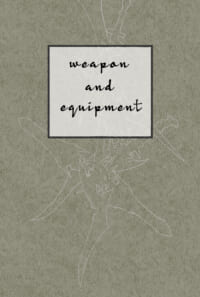 weapon and equipment