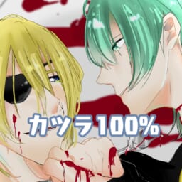カツラ100%