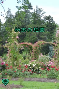 秘密の花園