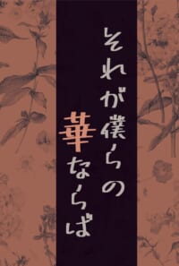 それが僕らの華ならば