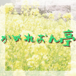 かめれおん亭