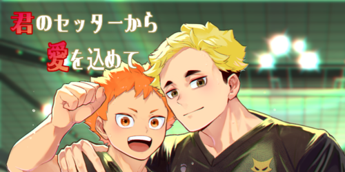 君のセッターから愛を込めて