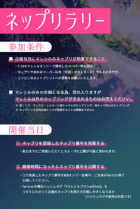 ネップリラリー参加方法