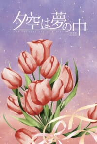 夕空は夢の中・上