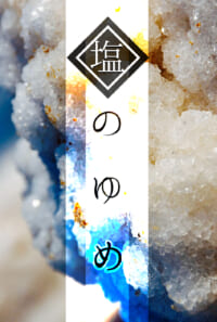 【王摎】塩のゆめ