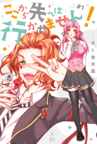 ここから先へは行かせません！