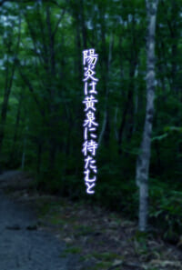 陽炎は黄泉に待たむと
