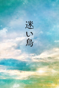 迷い鳥