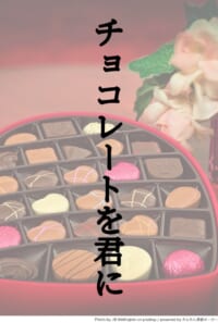 チョコレートを君に