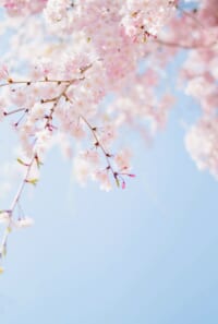 春休みの思い出