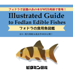 ビタミン図鑑