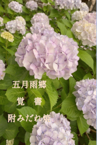 五月雨郷覚書附みだれ焼