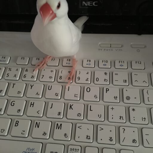 。