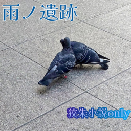 雨ノ遺跡