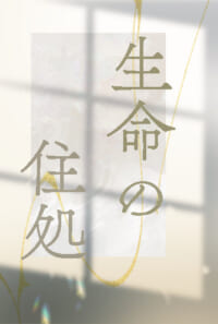 【宇善】同期if
