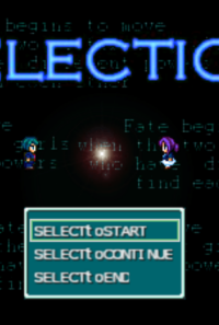 SELECTION